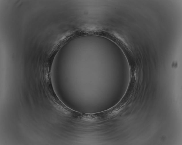 X0000091541348200708241724
