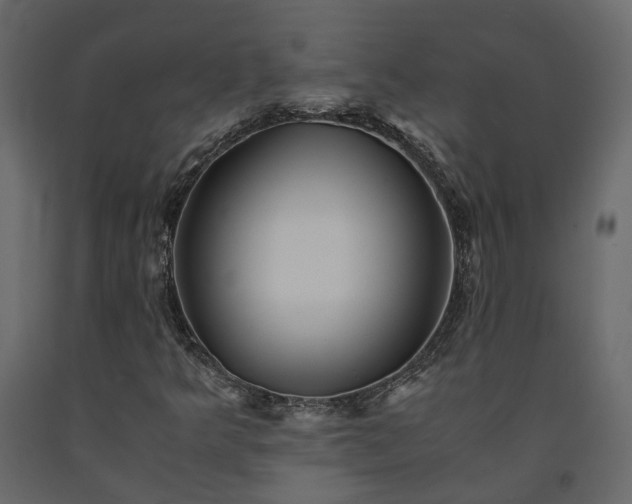 X0000091541349200708241724