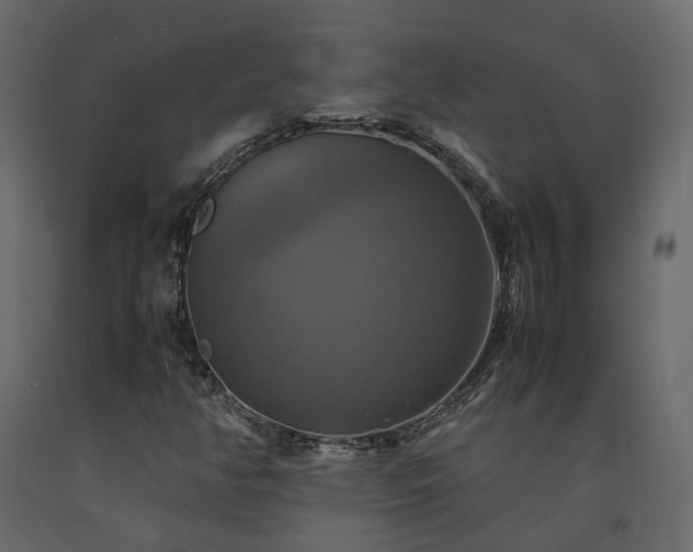 X0000091541350200708241724