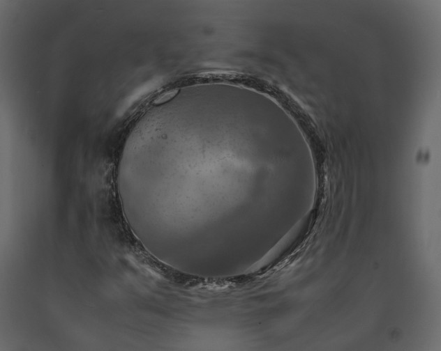 X0000091541351200708241724