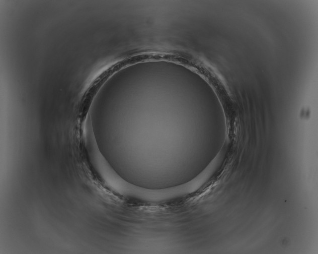 X0000091541352200708241724
