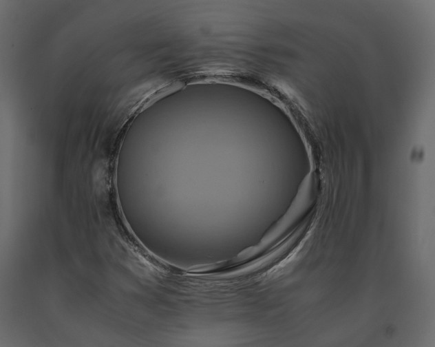X0000091541353200708241724