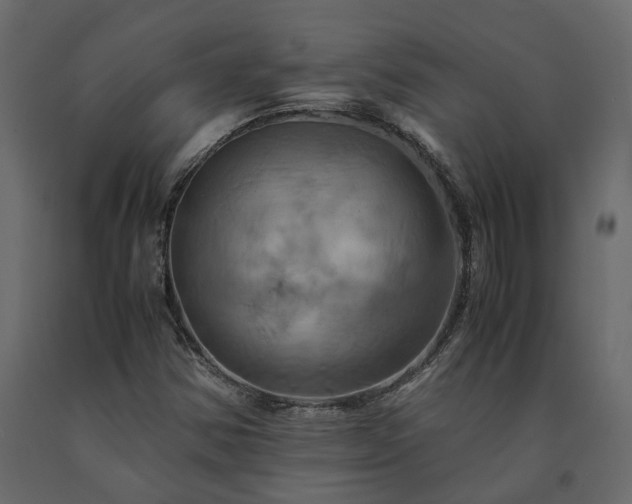 X0000091541354200708241724