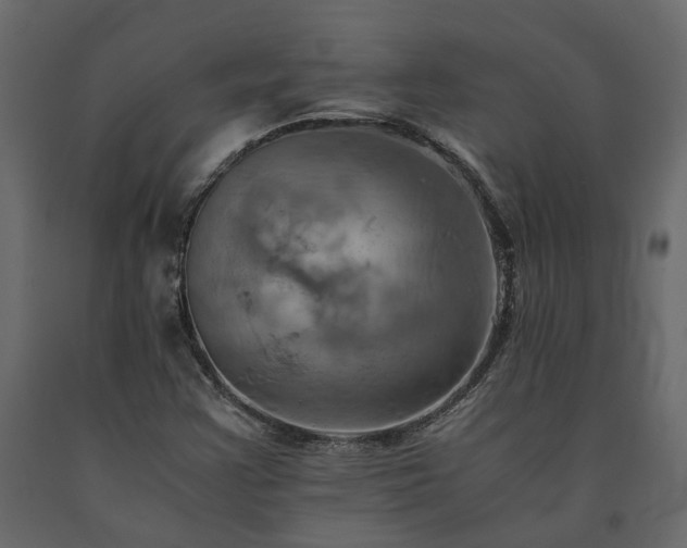 X0000091541355200708241724