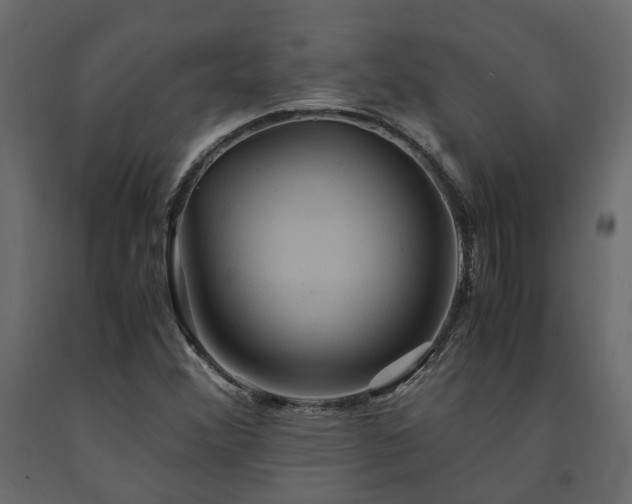 X0000091541356200708241724