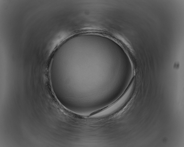 X0000091541357200708241724