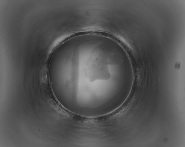 X0000091541358200708241724