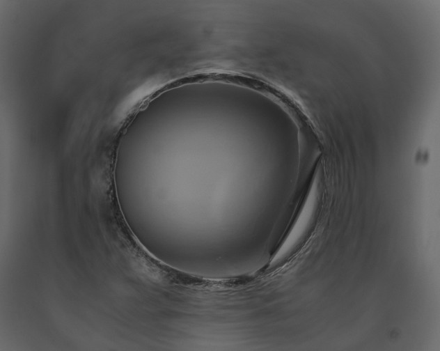 X0000091541359200708241724