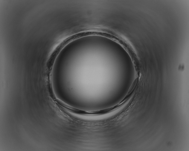 X0000091541360200708241724