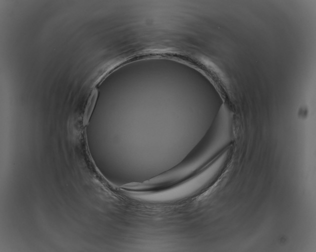 X0000091541361200708241724