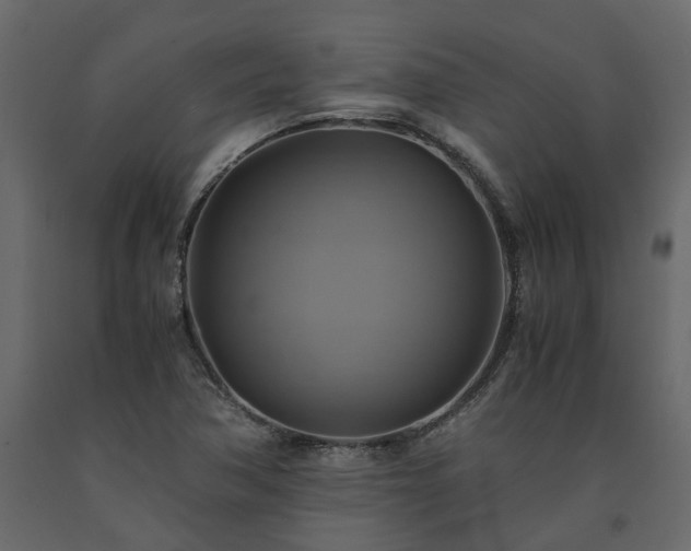 X0000091541362200708241724