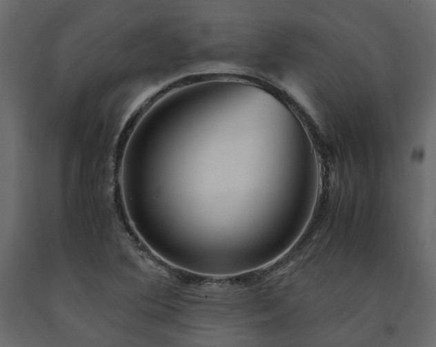 X0000091541364200708241724