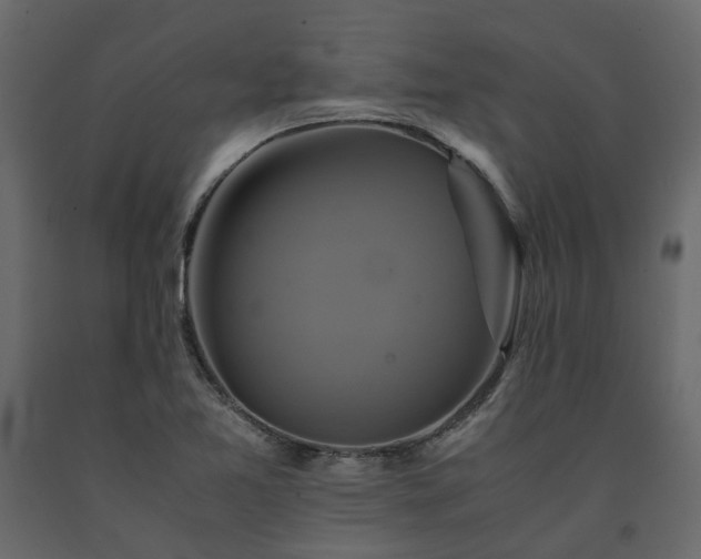 X0000091541365200708241724