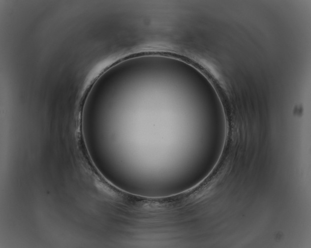 X0000091541366200708241724
