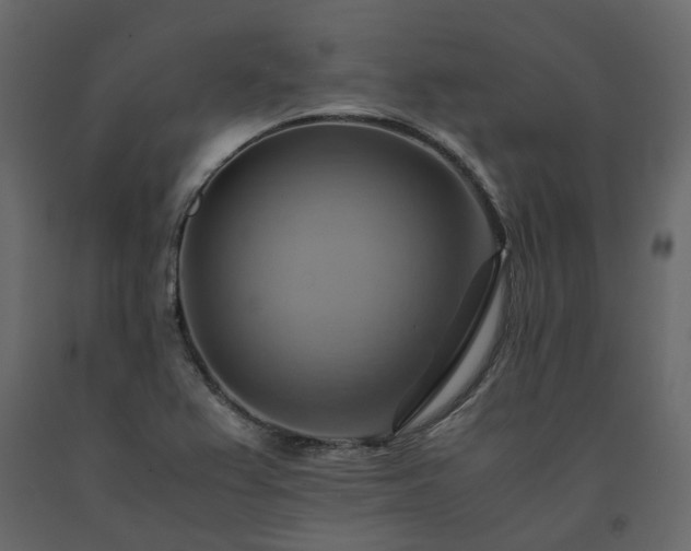 X0000091541367200708241724