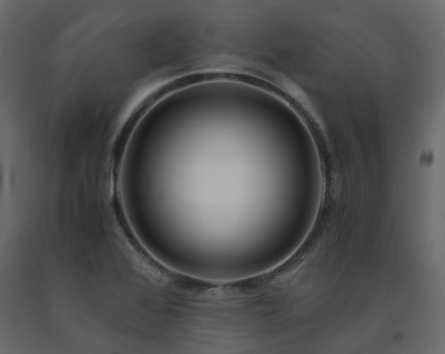 X0000091541368200708241724