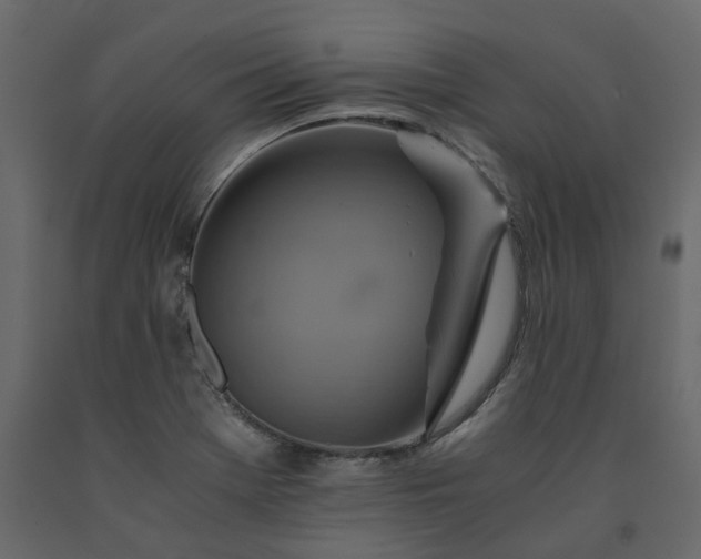 X0000091541369200708241724
