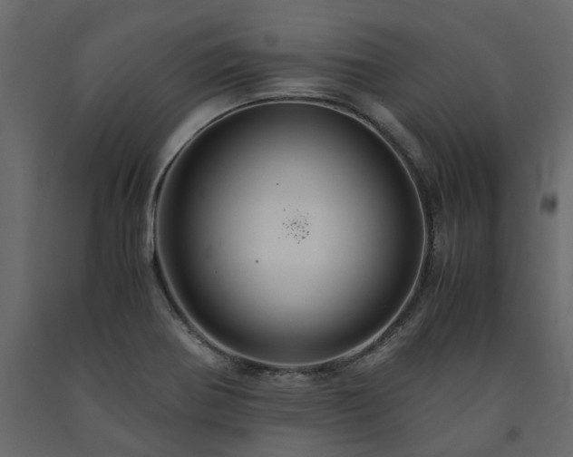 X0000091541370200708241724