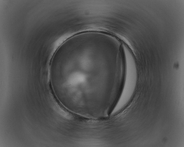 X0000091541371200708241724