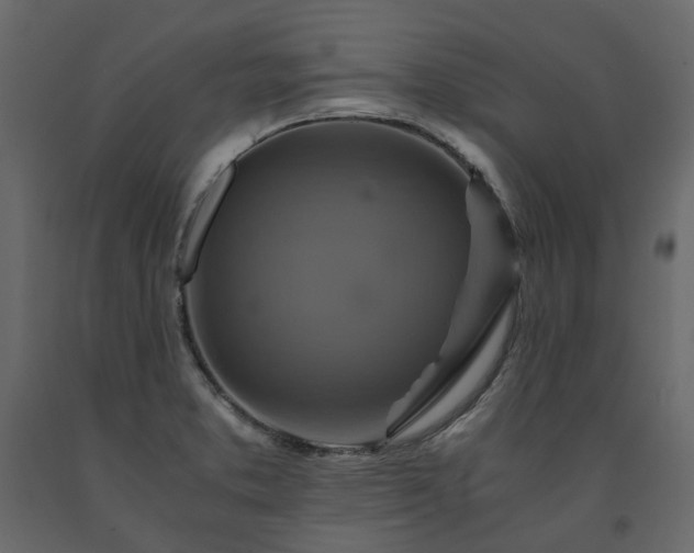 X0000091541373200708241724