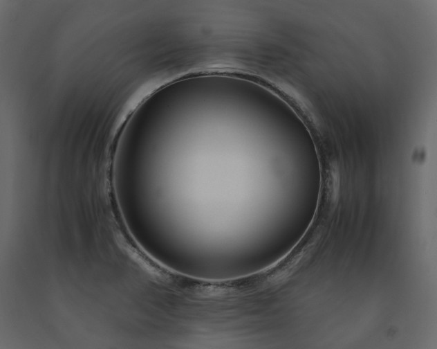 X0000091541374200708241724
