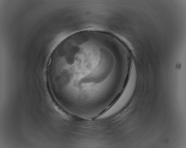 X0000091541375200708241724