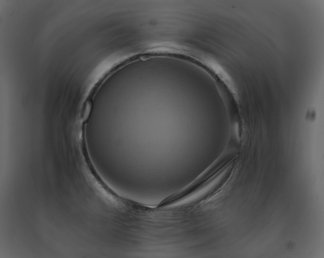 X0000091541376200708241724