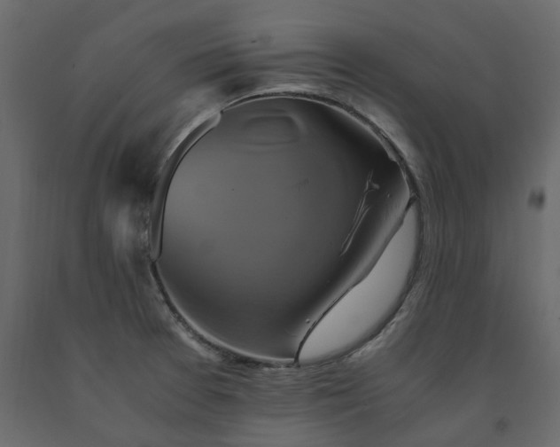 X0000091541377200708241724