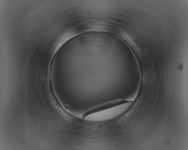 X0000091541378200708241724