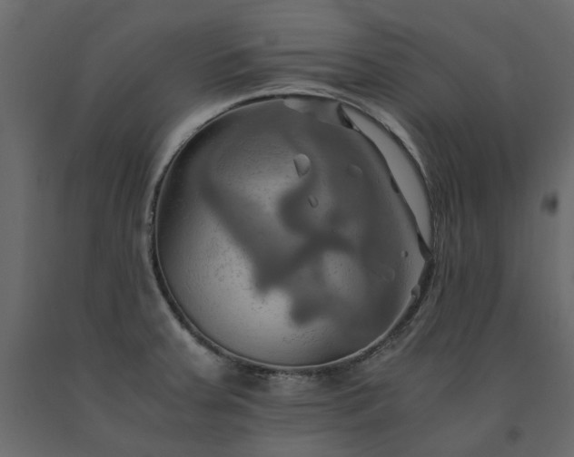 X0000091541379200708241724