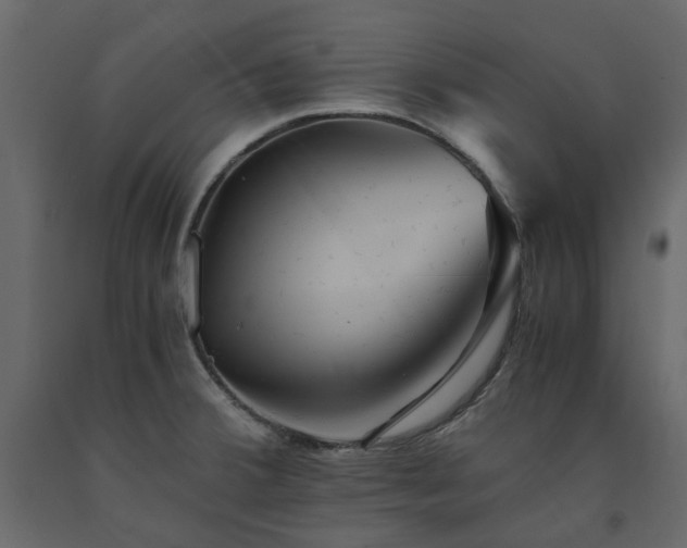 X0000091541380200708241724