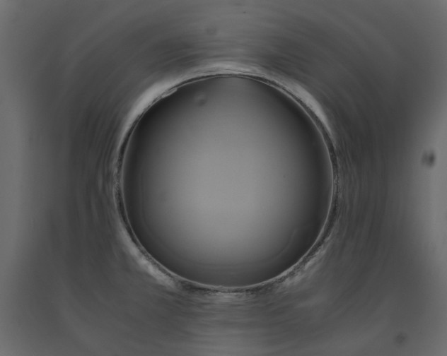 X0000091541381200708241724
