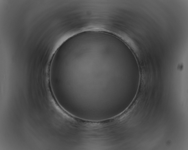 X0000091541382200708241724