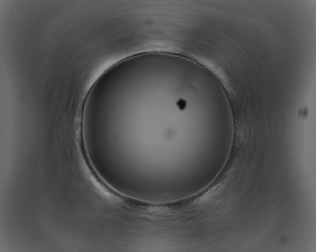 X0000091541383200708241724