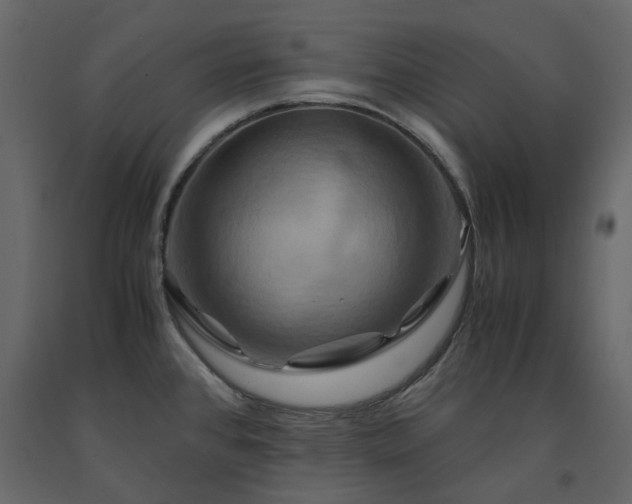 X0000091541384200708241724