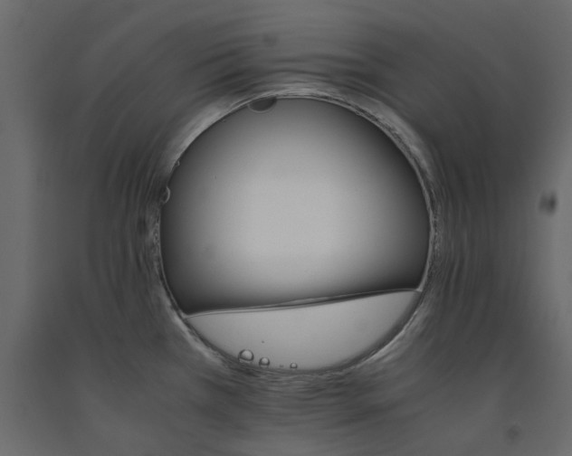 X0000091541385200708241724