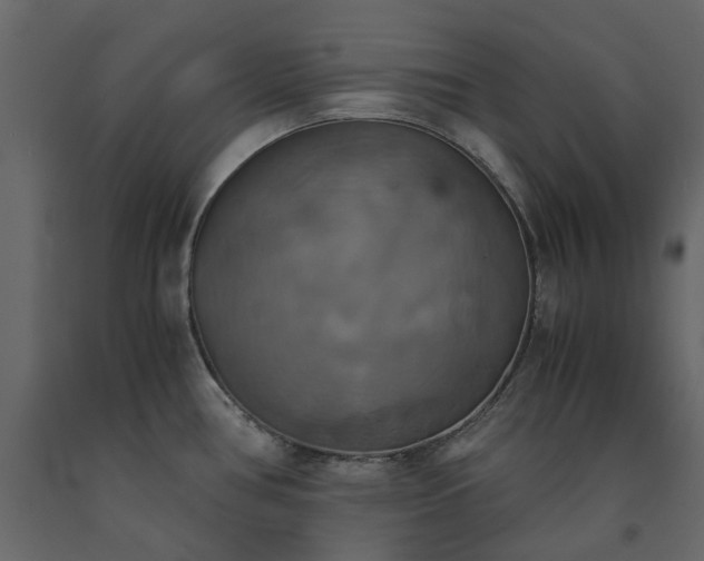 X0000091541386200708241724
