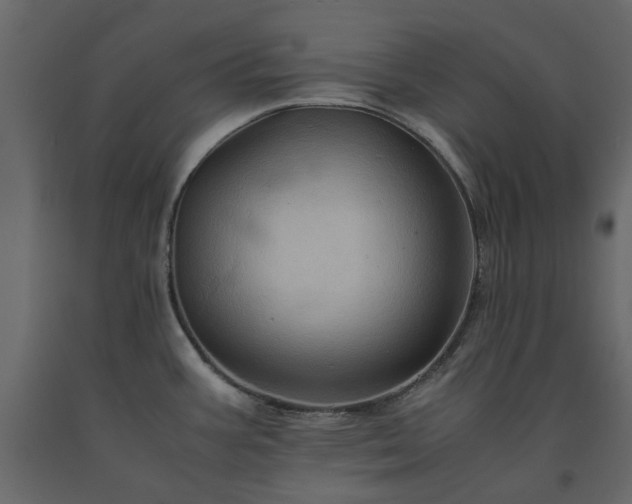 X0000091541387200708241724