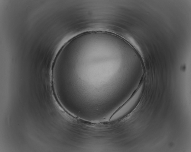X0000091541388200708241724
