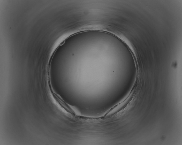 X0000091541389200708241724