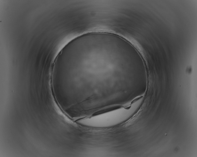 X0000091541390200708241724