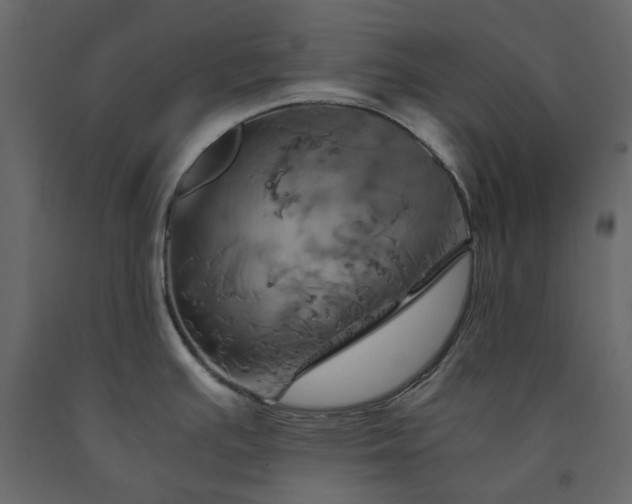 X0000091541391200708241724