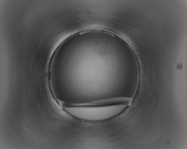 X0000091541392200708241724