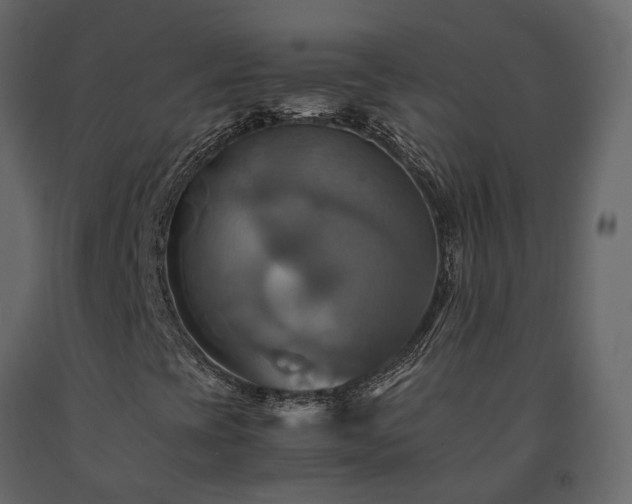 X0000091541393200708241723