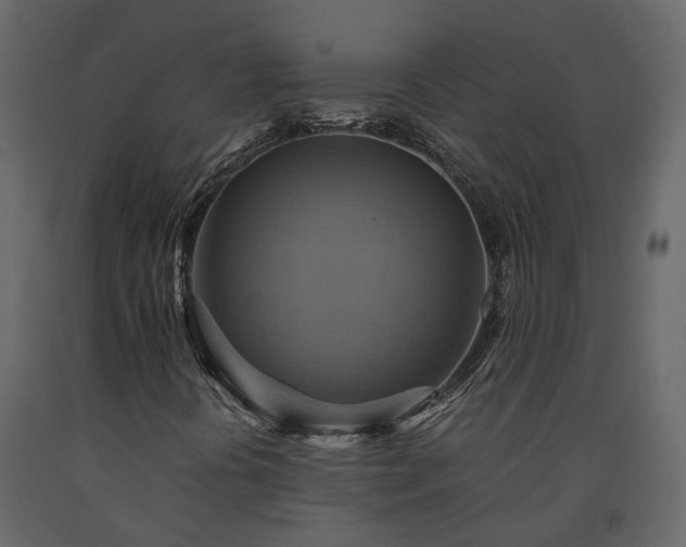 X0000091541394200708241723
