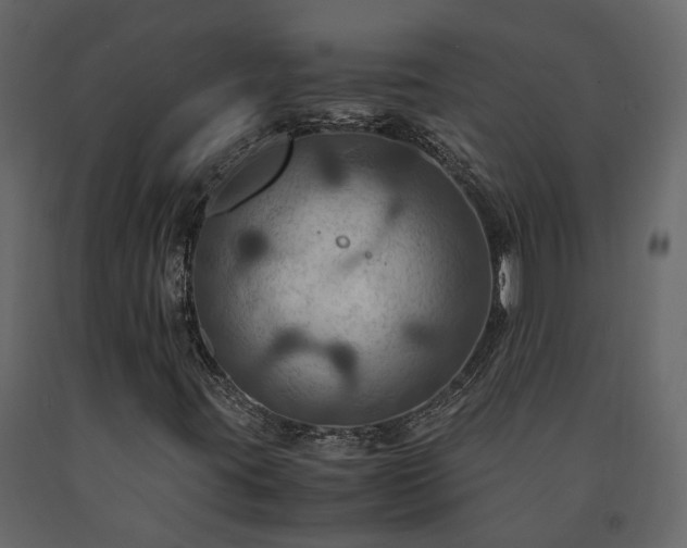 X0000091541395200708241723