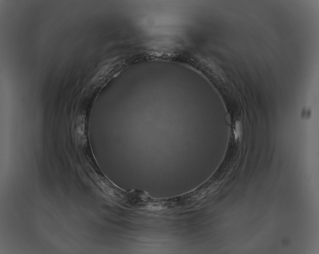 X0000091541396200708241723