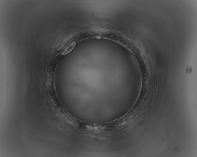 X0000091541397200708241723