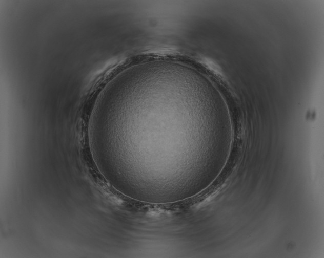 X0000091541398200708241723