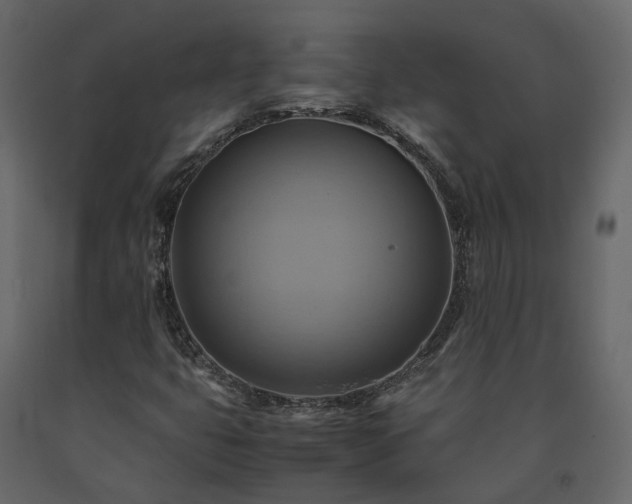X0000091541399200708241723